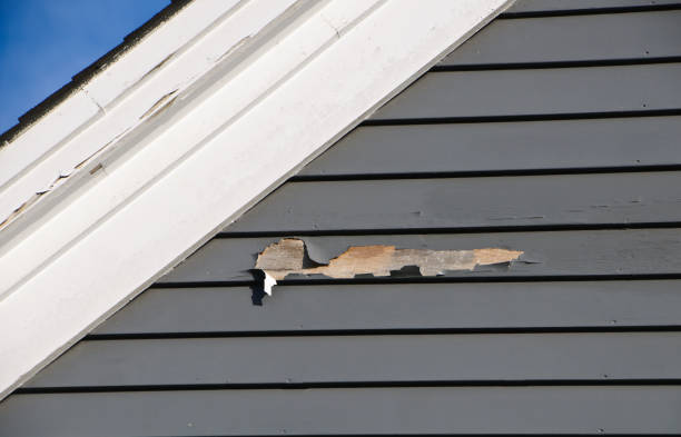  Fennimore, WI Junk Removal Pros